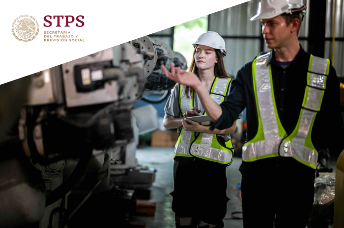 highlightServiceFancy4