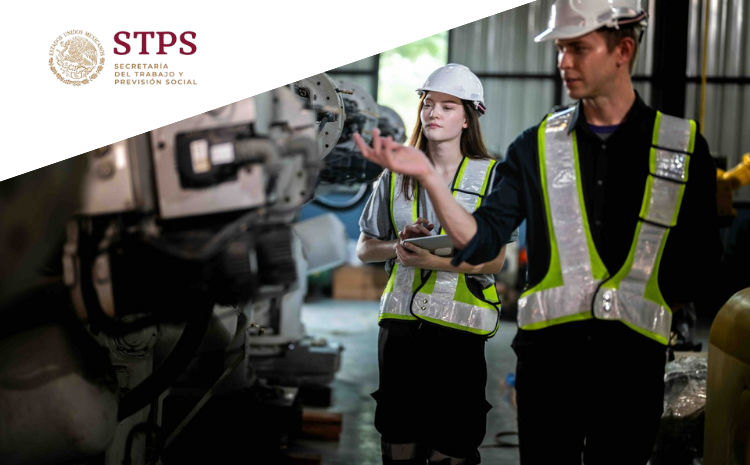 highlightServiceFancy4